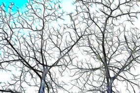 ������ľ����