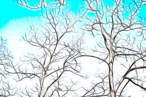 ��������޿�