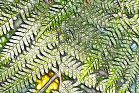 ާ��ֲ�����