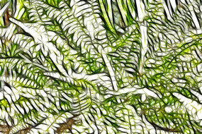 ާ��ֲ�����������