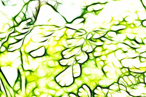 ާ��ֲ���޿�