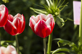 ����άɪ�����㻨��