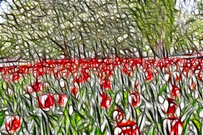 ����������