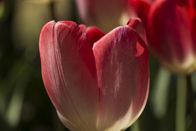 ������������д