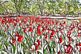 �����������޿�