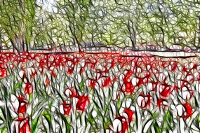 ����������������