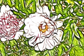 �λð�ɫĵ����