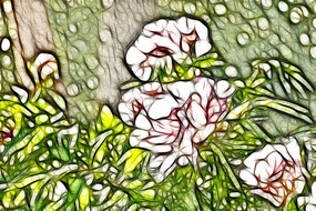 �λð�ɫĵ��������