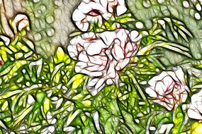 �λð�ɫĵ�����޿�