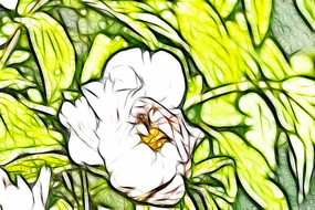 �λð�ɫĵ�����޿�