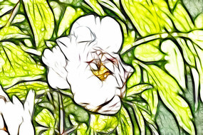 �λð�ɫĵ���������޿�