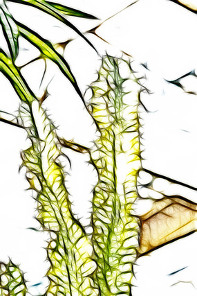 �λó�����������