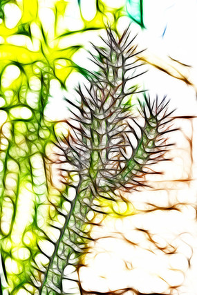 �λó����������ƻ滭