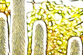 �λô�ѩ��������