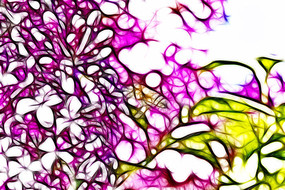 �λ÷�ɫ���㻨����������