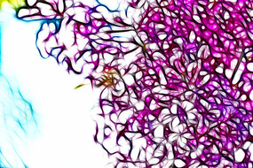 �λ÷�ɫ���㻨װ�λ�