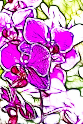 �λ÷�ɫ������װ�λ�