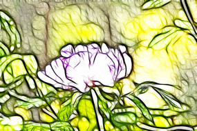 �λ÷�ɫĵ��������