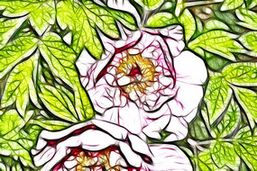 �λ÷�ɫĵ���������廭