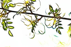 �λûƴ�÷��