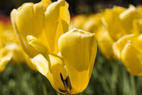 �λû�ɫ��������д