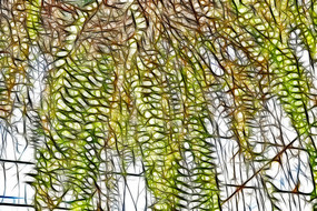 �λ�ާ��ֲ��