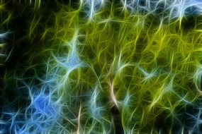 �λ�ˮɼ����