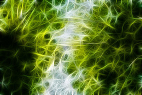 �λ�ˮɼ�����޿�