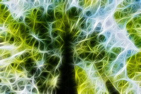 �λ�ˮɼ����������