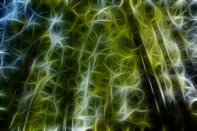 �λ�ˮɼ����װ�λ�