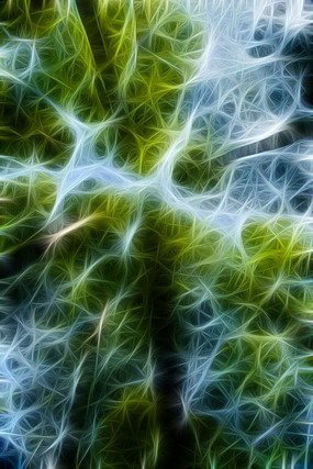 �λ�ˮɼ����װ�λ�