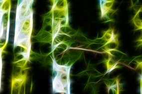 �λ�ˮɼ����װ�λ�