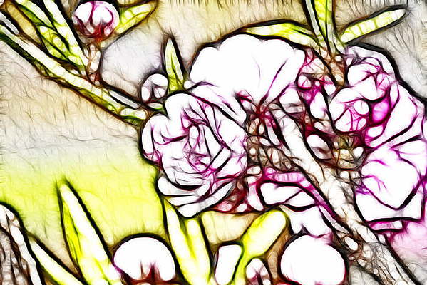 �λ���Ҷ÷��