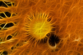 �λ�������