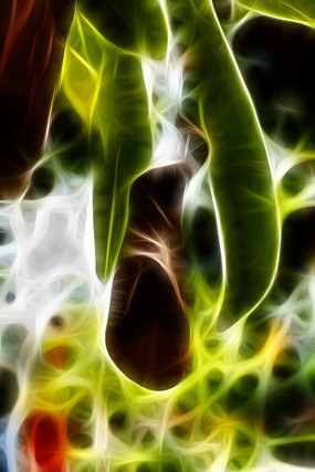 �λ�������