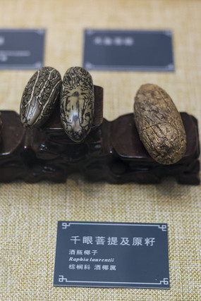 ǧ�����ἰԭ��