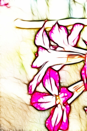 ɳĮõ���޿�