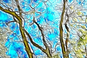 �����޿�