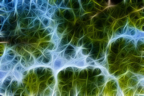 ˮɼ���ֳ���