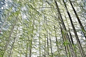 ˮɼ���ֳ����޿�