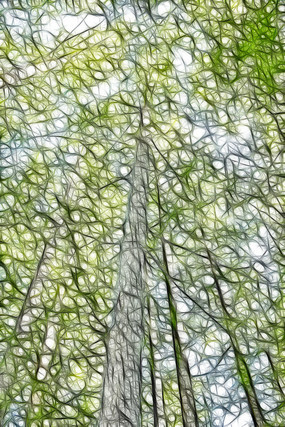 ˮɼ���ֳ���������