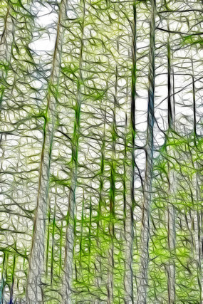 ˮɼ���ֳ���װ�λ�