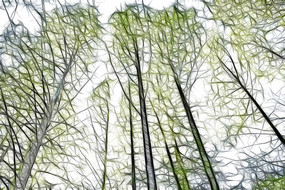 ˮɼ����������