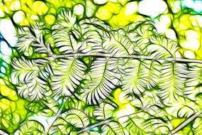 ˮɼ����Ҷ��