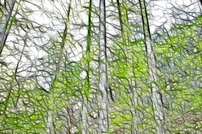 ˮɼ������������