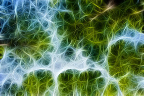 ˮɼ����������