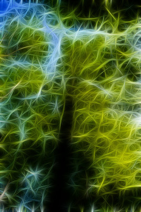 ˮɼ����װ�λ�