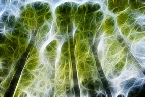 ˮɼ����װ�λ�