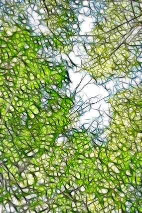 ����װ�λ�