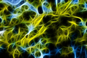 ��ľ֦Ҷ����